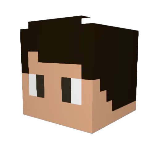 10ardaguler Minecraft avatar head, 3D render