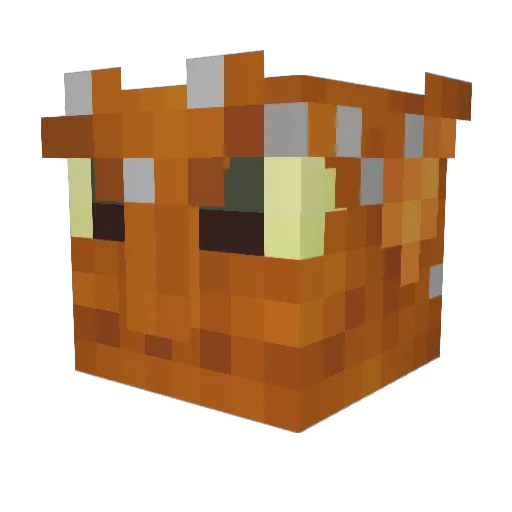 10flame12 Minecraft avatar head, 3D render