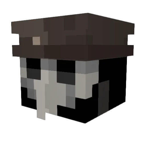 10o0_Y Minecraft avatar head, 3D render