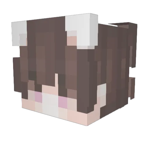 110000110 Minecraft avatar head, 3D render