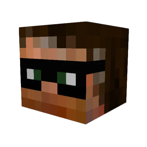 1101Base2 Minecraft avatar head, 3D render