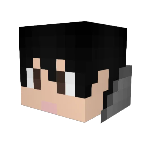 11037left Minecraft avatar head, 3D render