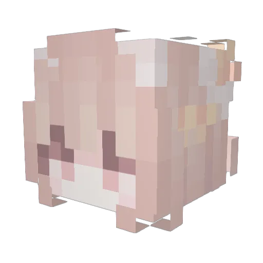 1111qwq Minecraft avatar head, 3D render