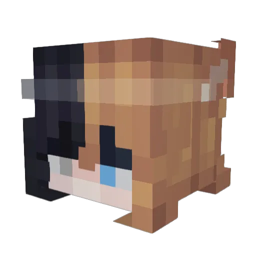 1113dear Minecraft avatar head, 3D render