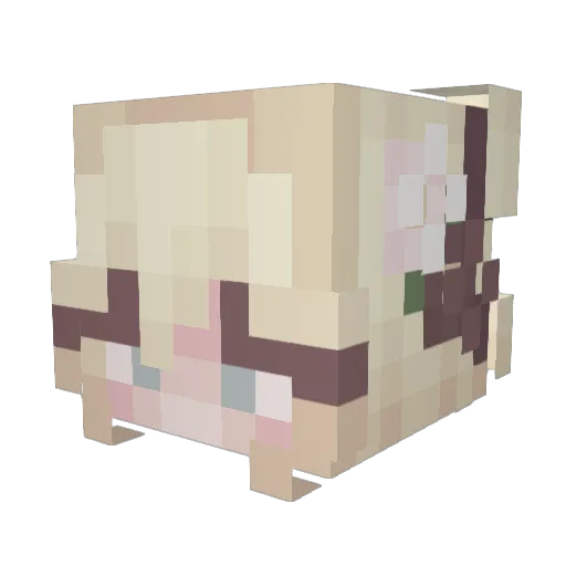 111Emma Minecraft avatar head, 3D render