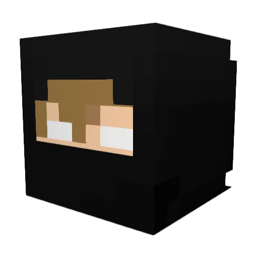 111Slick Minecraft avatar head, 3D render