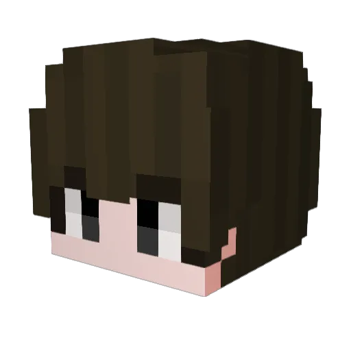 116njj Minecraft avatar head, 3D render