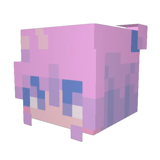 11AViAN11 Minecraft avatar head, 3D render