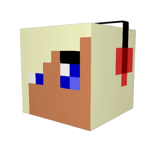 11Anna11 Minecraft avatar head, 3D render