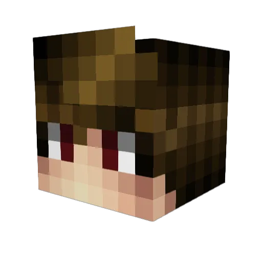 11FPS_ Minecraft avatar head, 3D render