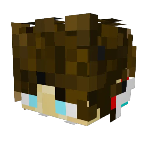 11LIL11TAT11 Minecraft avatar head, 3D render