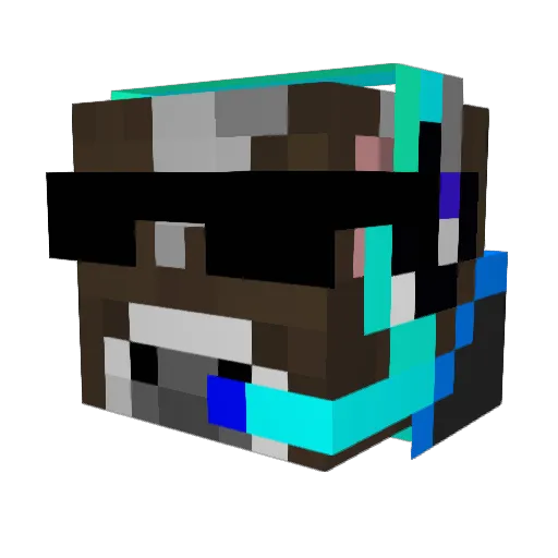 11LeN11 Minecraft avatar head, 3D render