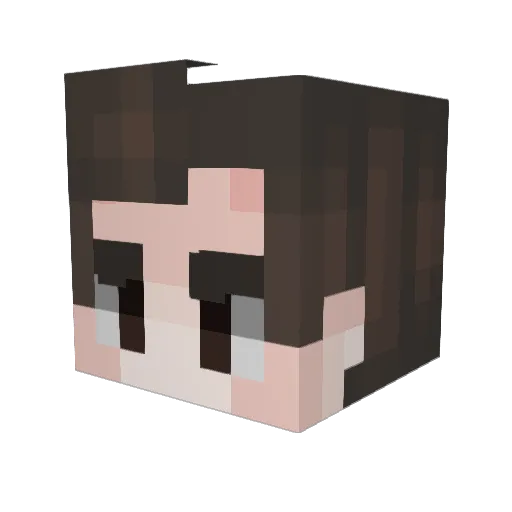 11MGD11 Minecraft avatar head, 3D render
