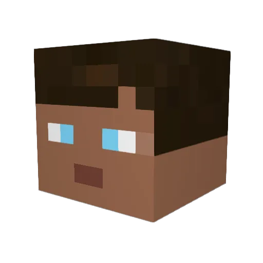 11N1sen11 Minecraft avatar head, 3D render