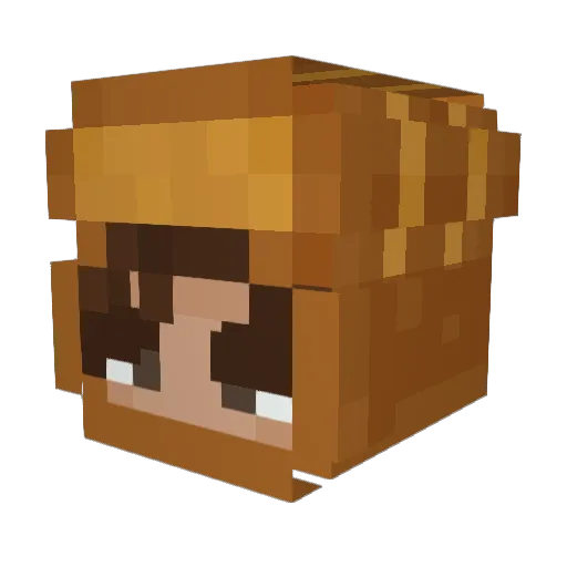 11Pan1 Minecraft avatar head, 3D render