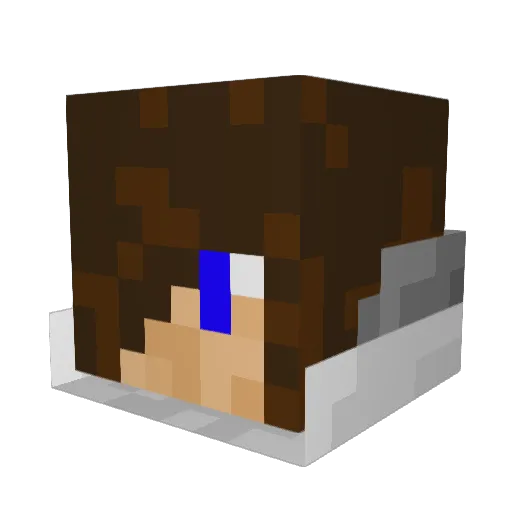 11allancam Minecraft avatar head, 3D render