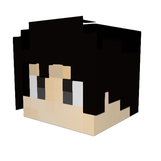 11asqw Minecraft avatar head, 3D render