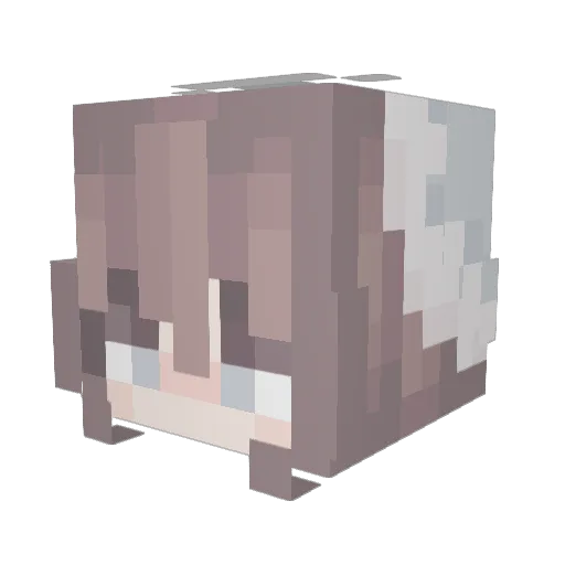 11coolgamer Minecraft avatar head, 3D render