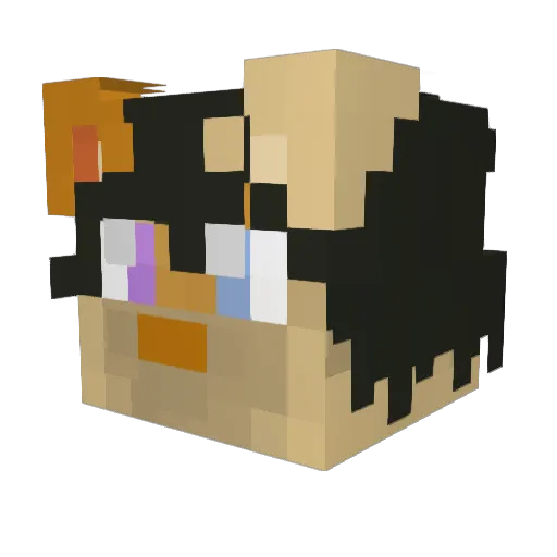 11hh Minecraft avatar head, 3D render