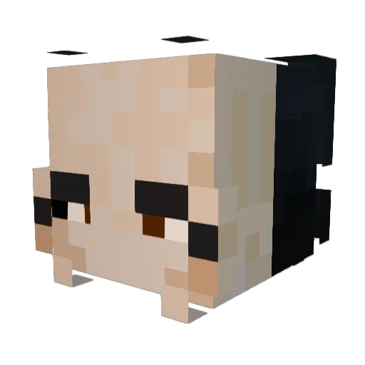 11iwi11 Minecraft avatar head, 3D render