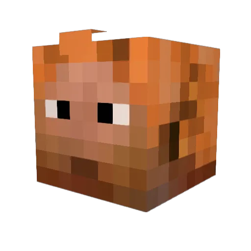 11ray11 Minecraft avatar head, 3D render