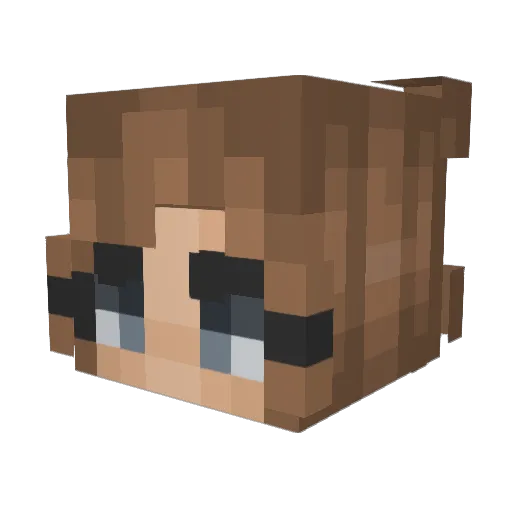 11t4 Minecraft avatar head, 3D render