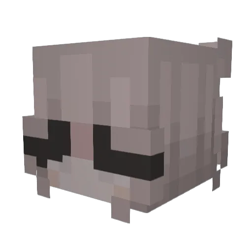 11xStarGirl Minecraft avatar head, 3D render