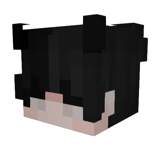 1200HARDSTUCK Minecraft avatar head, 3D render