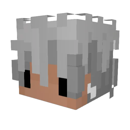 1210nam Minecraft avatar head, 3D render