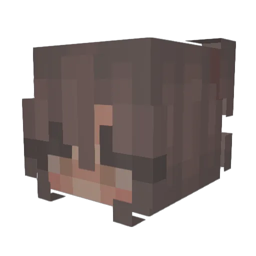 1213sluv Minecraft avatar head, 3D render
