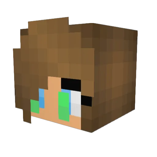 1234432nn Minecraft avatar head, 3D render