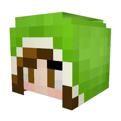 1234CupCake1234 Minecraft avatar head, 3D render