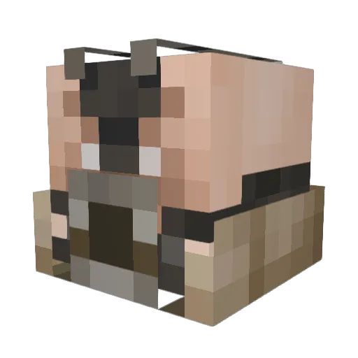 1234Leake Minecraft avatar head, 3D render