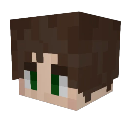1234bilbo Minecraft avatar head, 3D render