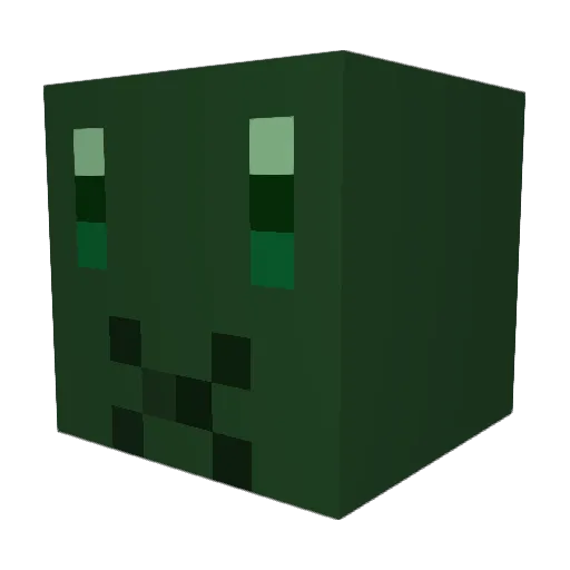 1234g56789 Minecraft avatar head, 3D render