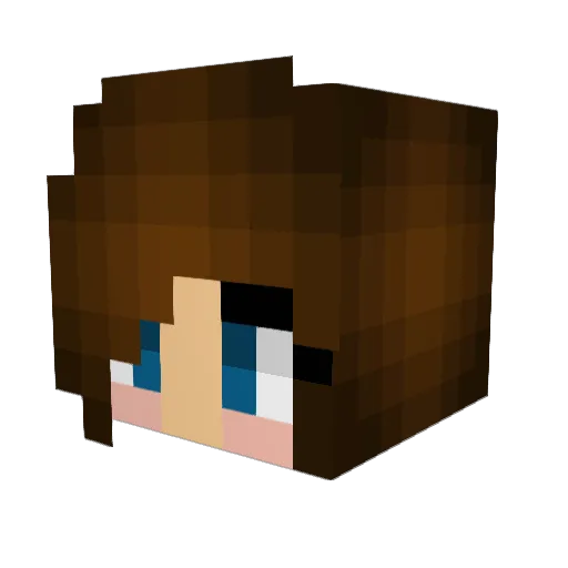 1234kab Minecraft avatar head, 3D render