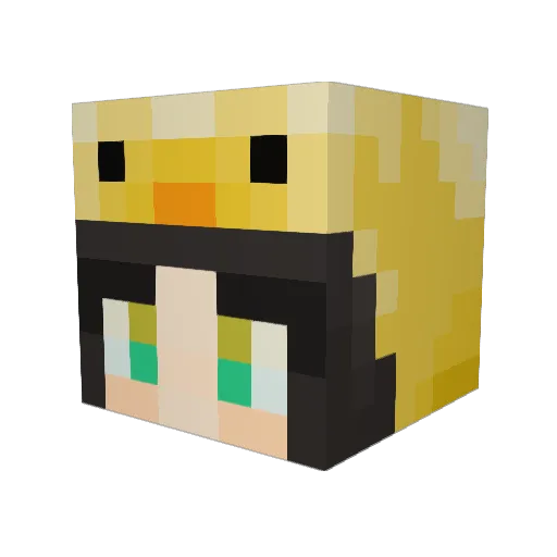 123Duck Minecraft avatar head, 3D render