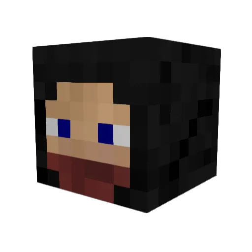 123Lennart Minecraft avatar head, 3D render
