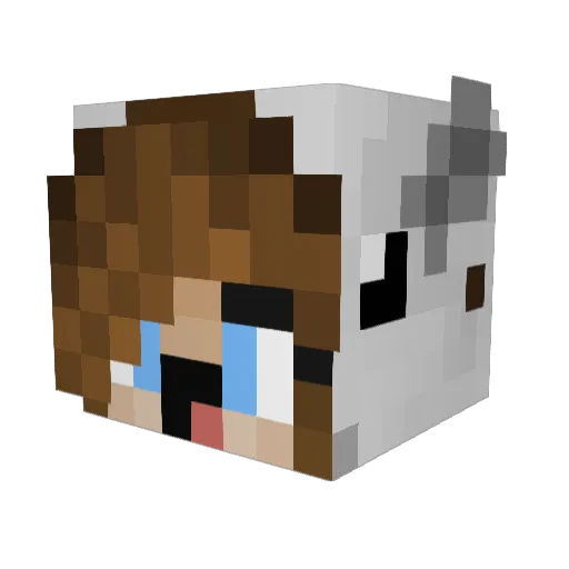 123Mandyistdabei Minecraft avatar head, 3D render