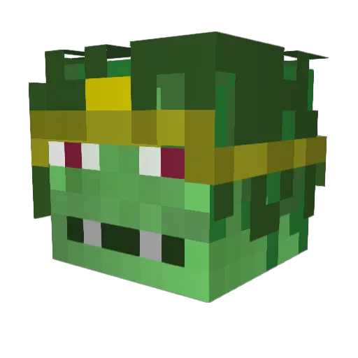 123Seaweed123 Minecraft avatar head, 3D render