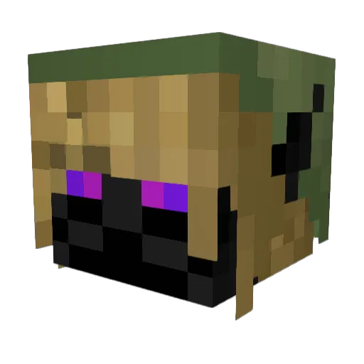 1299bryan Minecraft avatar head, 3D render