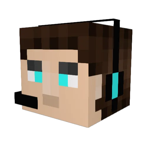12Boti Minecraft avatar head, 3D render