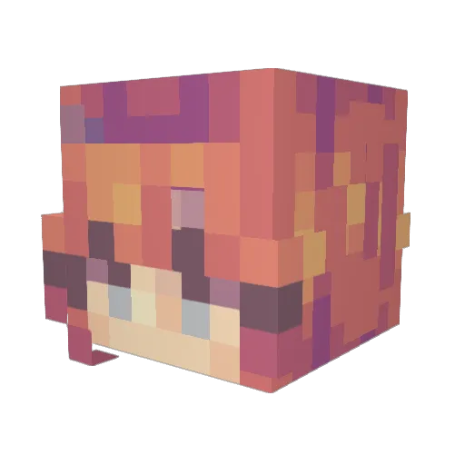 12Cataracts Minecraft avatar head, 3D render