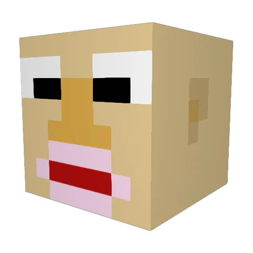 12FigureName Minecraft avatar head, 3D render
