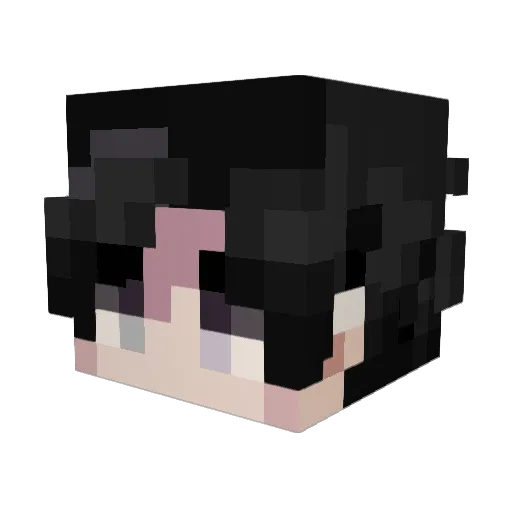 12LT Minecraft avatar head, 3D render