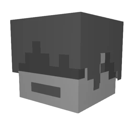 12St3ve Minecraft avatar head, 3D render