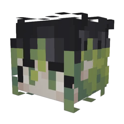 12Tea Minecraft avatar head, 3D render