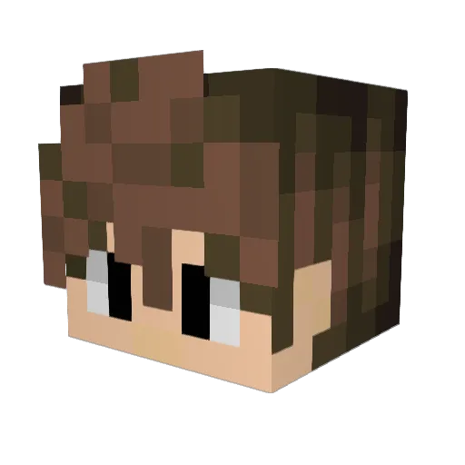 12Tommy06 Minecraft avatar head, 3D render
