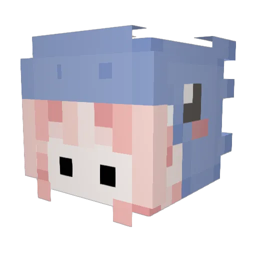 12Unun Minecraft avatar head, 3D render