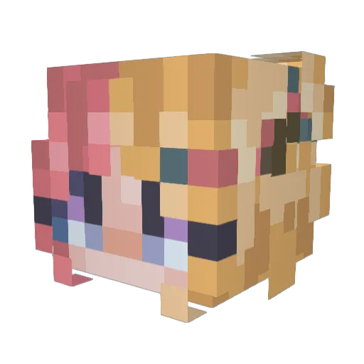 12_SAVANNA_22 Minecraft avatar head, 3D render